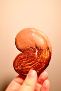 Silky Milk Chocolate Palmier (12 pieces)